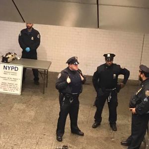 Meet your Posher, Quinn